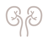 腎臓内科イメージイラスト